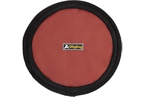 OllyDog Flyer Disc, Dog Frisbee, Lightweight and Floating, Dog Toys Interactive, Dog Stuff, Gentle on Teeth and Gums (Cider)