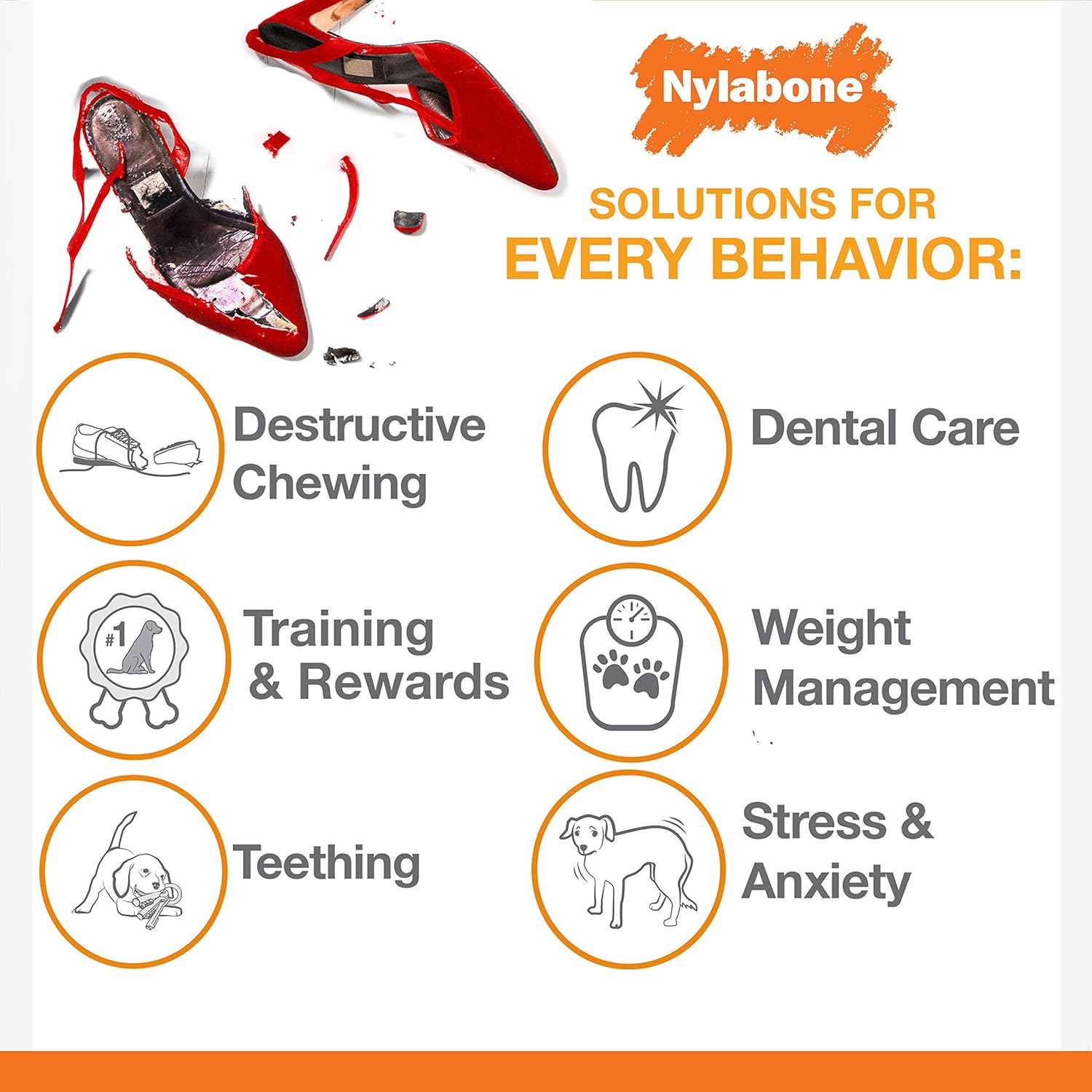Pet Supplies : Pet Chew Toys : Nylabone Just for Puppies Extra Small Pacifier Bone Puppy Dog Teething Chew Toy : 