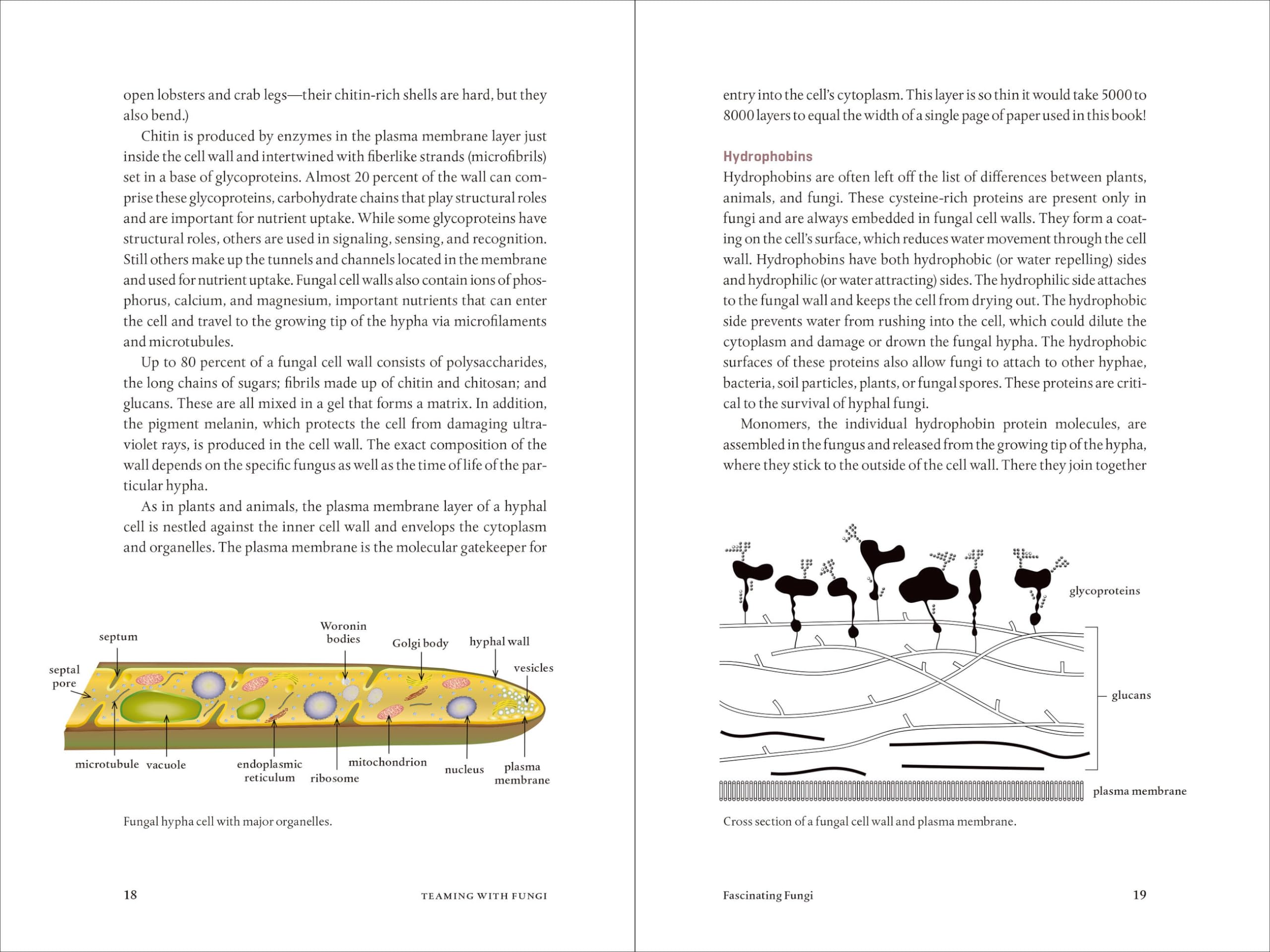 Teaming with Fungi: The Organic Grower's Guide to Mycorrhizae (Science for Gardeners) Teaming with Fungi: The Organic Grower's Guide to Mycorrhizae (Science for Gardeners) Hardcover Audible Audiobook Kindle Audio CD