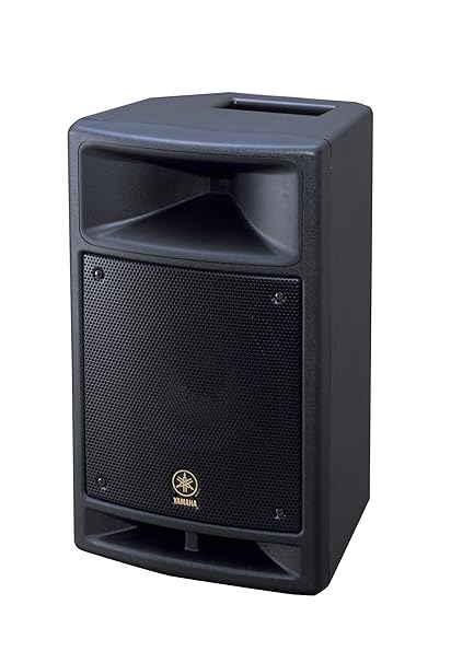 powered speaker with mixer