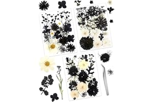 CINVO Real Dried Pressed Leaves Natural Dried Leaf for Candle Resin Jewelry Soap Nail Pendant Phone Case Crafts Making Floral Decors Scrapbooking DIY (63 Pcs Black Dried Leaves)