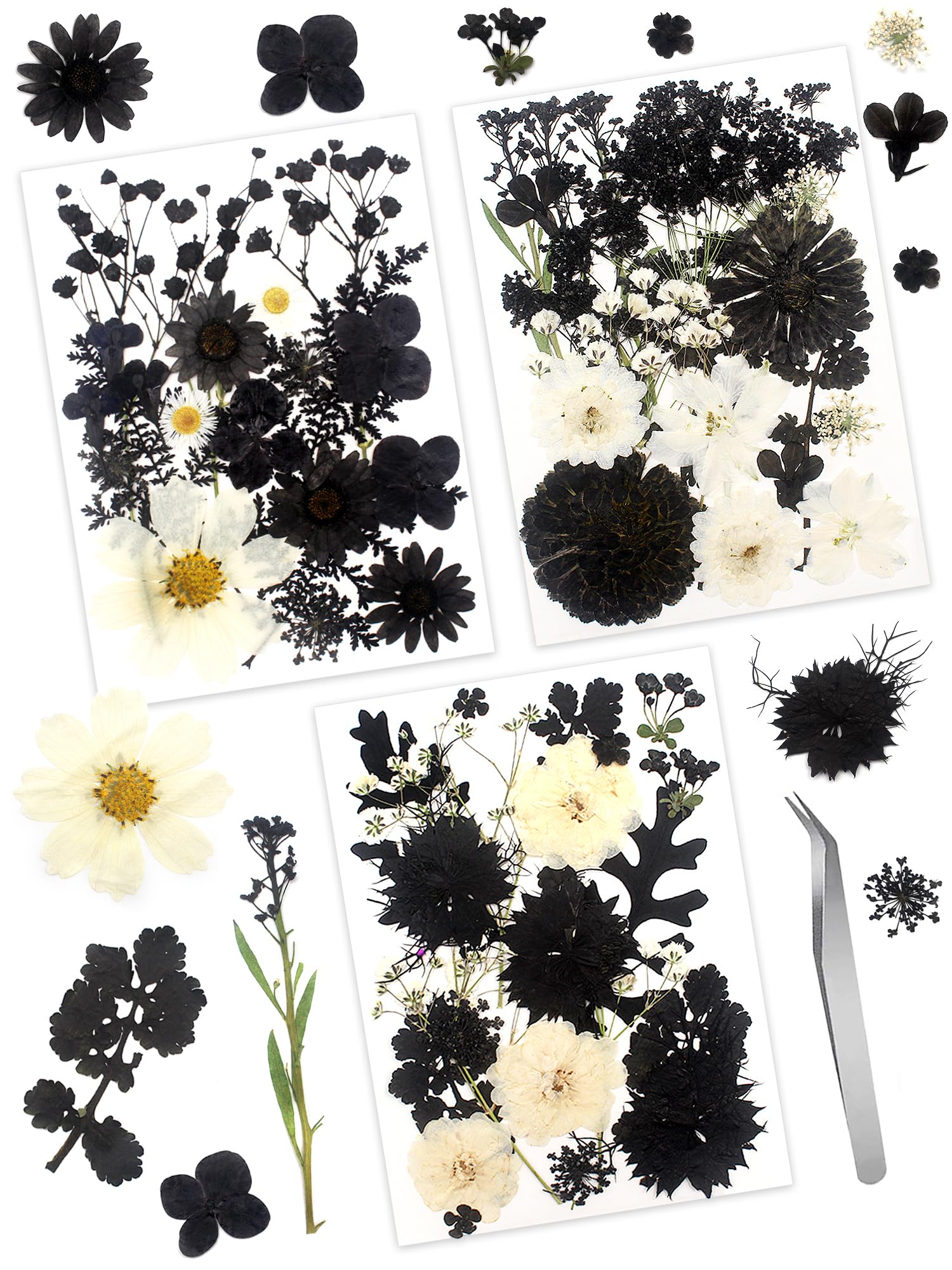 Cinvo 63 Pcs Real Dried Pressed Flowers and Leaves Black White Natural Dried Petals with Tweezer for Candle Resin Jewelry Soap Nail Pendant Phone Case Crafts Making Floral Decors DIY Embellishments