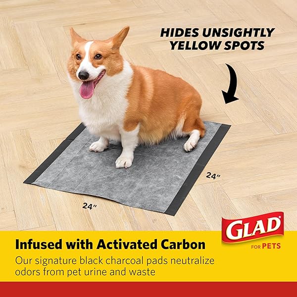 GLAD FOR PETS XL CHARCOAL TRAINING PADS, HEAVY DUTY LEAK-RESISTANT PUPPY PEE PADS WITH ACTIVATED CARBON ODOR CONTROL, QUICK-DRY QUILTED TOP, INDOOR POTTY & CRATE LINER, 24 X 24 IN, 100 COUNT