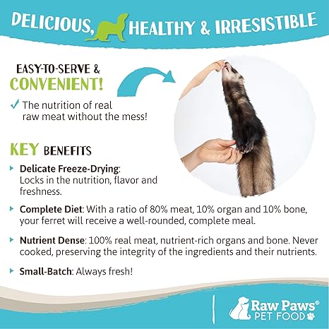 ferret raw diet