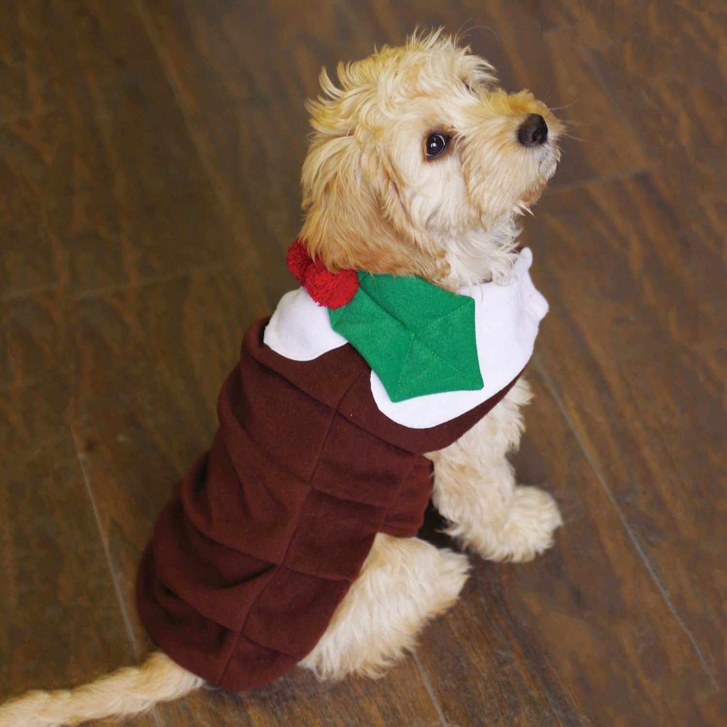 christmas pudding dog jumper