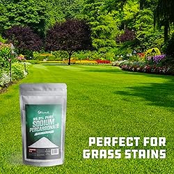Ecoxall Premium Sodium Percarbonate - 5 Pound