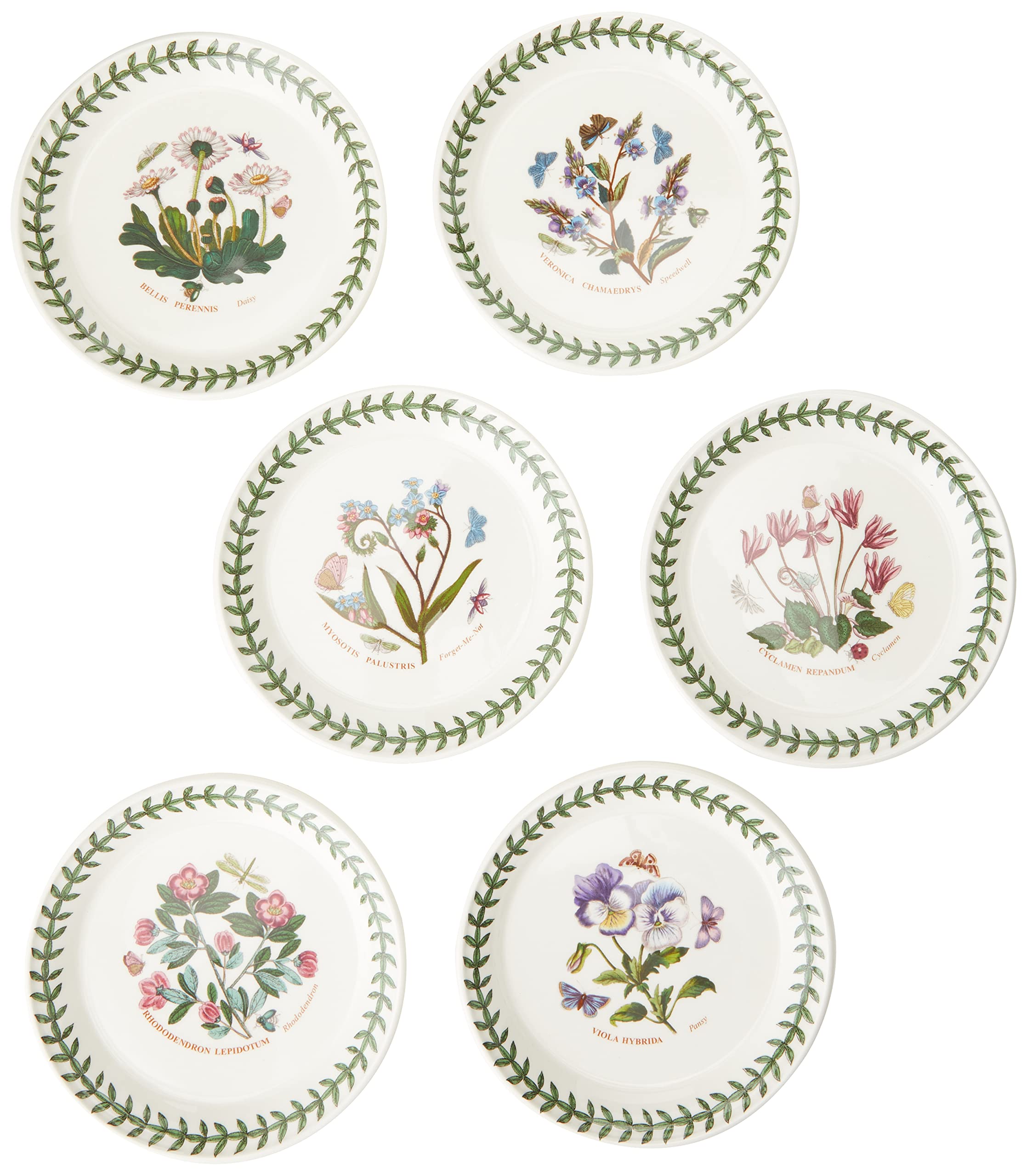 Portmeirion x Botanic Garden Set of 6 Bread & Butter Plates - White Floral Design, Made in England Earthenware, Stylish and Durable, Suitable for Desserts or Snacks, Microwave & Dishwasher Safe.15cm