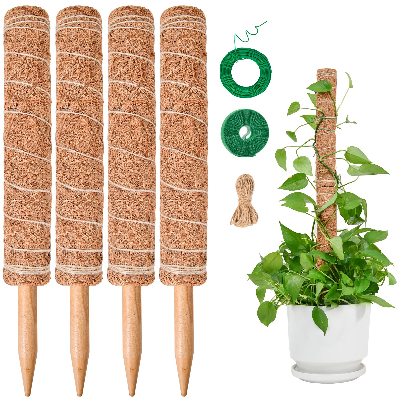 SPROUTMAVEN 49 inch/125 cm Tall Moss Pole for Plants, SproutMaven 4 x 16 Inch/41 cm Monstera Moss Pole kit for Indoor Outdoor Climbing Plants Lianas to Grow Upwards