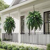 Bailikang Artificial Boston Fern Plants 2 Pack 38 Leaves 33' Large Artificial Ferns Realistic Fake Hanging Ferns Faux Greenery for Indoor Outdoor Decor Home Office Porch