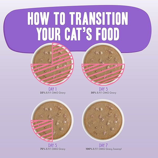 WERUVA B.F.F. OMG – BEST FELINE FRIEND OH MY GRAVY!, RAINBOW A GOGO VARIETY PACK! CAT FOOD, 3OZ POUCH (PACK OF 12)
