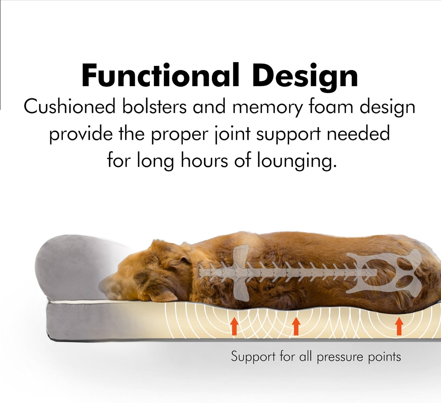Friends Forever Orthopedic Dog Bed Memory Foam | Bolster Dog Couch Pet Sofa Beds with 100% Suede Removable Cover 4" Mattress Memory-Foam Chew Proof Durable | Size Large 36"x28"x9" Cocoa Brown : Pet Supplies