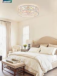 LEDIARY 20" Caged Ceiling Fan with Light, Small