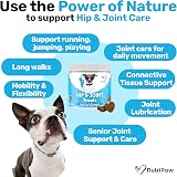 NutriPaw Joint & Hip Treats for Dogs - 120 Duck Flavoured Chews view 2
