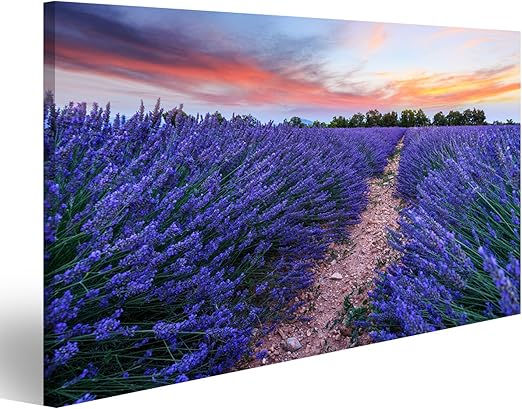 Islandburner Tableau Sur Toile Paysage De Lavande Champ été