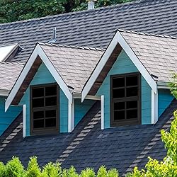 2 Pack 14" x 21" Black Shed Window with Tempered