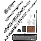 Leo Jaymz C Flute 16 Hole Closed Hole Nickel Plated Brass Body Beginner Student Flute with Hard Case &amp; Cleaning Kit