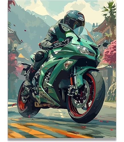 Amazon.com: Inspirational Wall Art Co. - Pacey | Ninja ZX6R