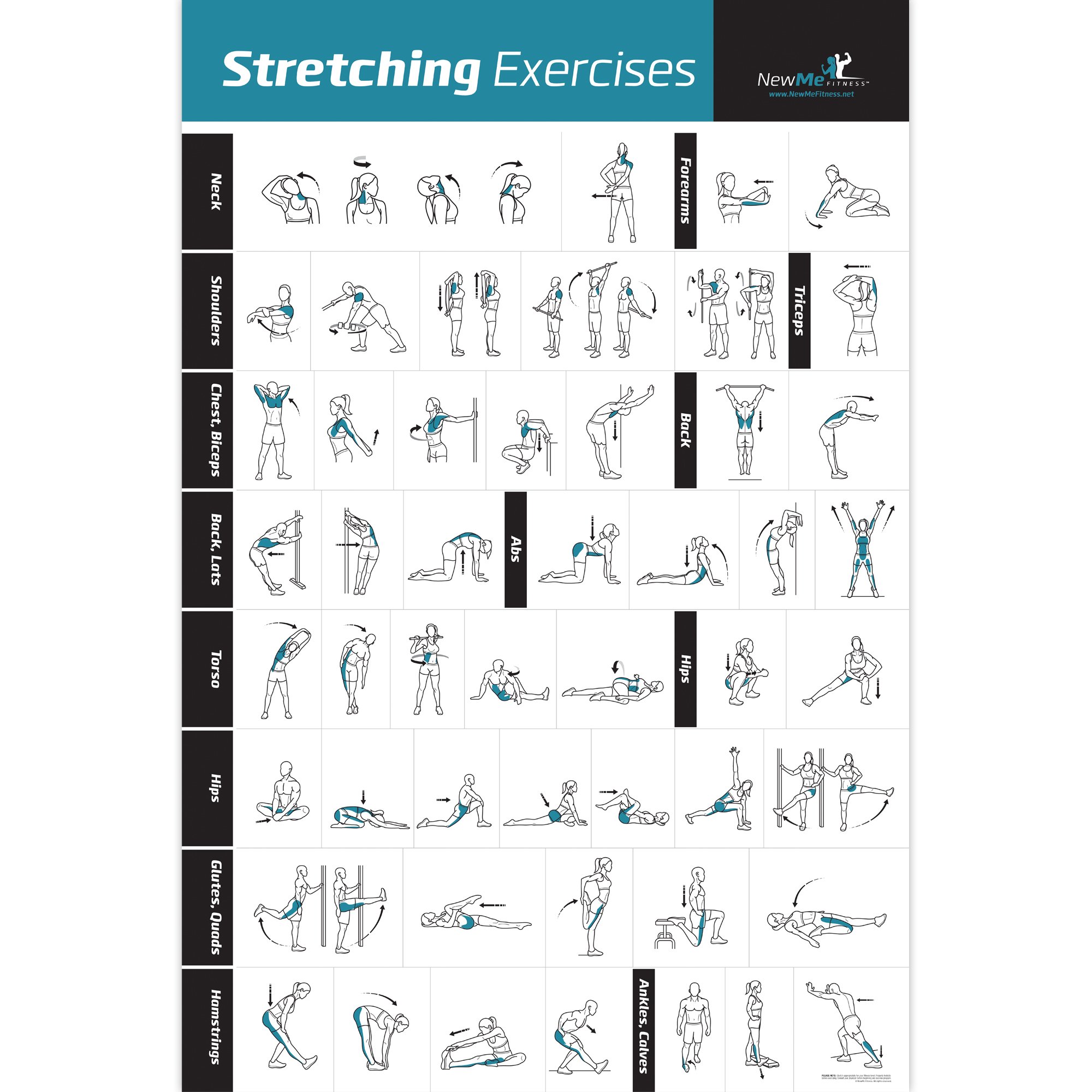 Stretching Exercise Poster Laminated Shows How to Stretch