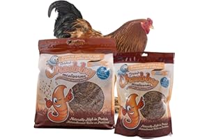 Chubby Dried Mealworms | 3.18 kg | High Protein Non GMO Insect Treat for Wild Birds, Chickens & Backyard Feeders