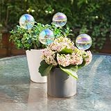 [Tomorotec] 4 PCS Light Iridescent Rainbow Glass Self-Watering System Spikes view 5