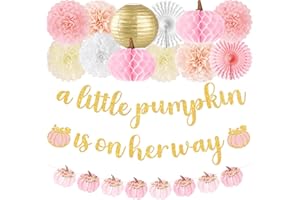 Kriyokiaa Little Pumpkin Baby Shower Decorations for Girl 15 Pcs Pink Fall Baby Shower Decorations with A Little Pumpkin is On Her Way Banner, Tissue Pom-Poms, Paper Lantern for It's a Girl Party