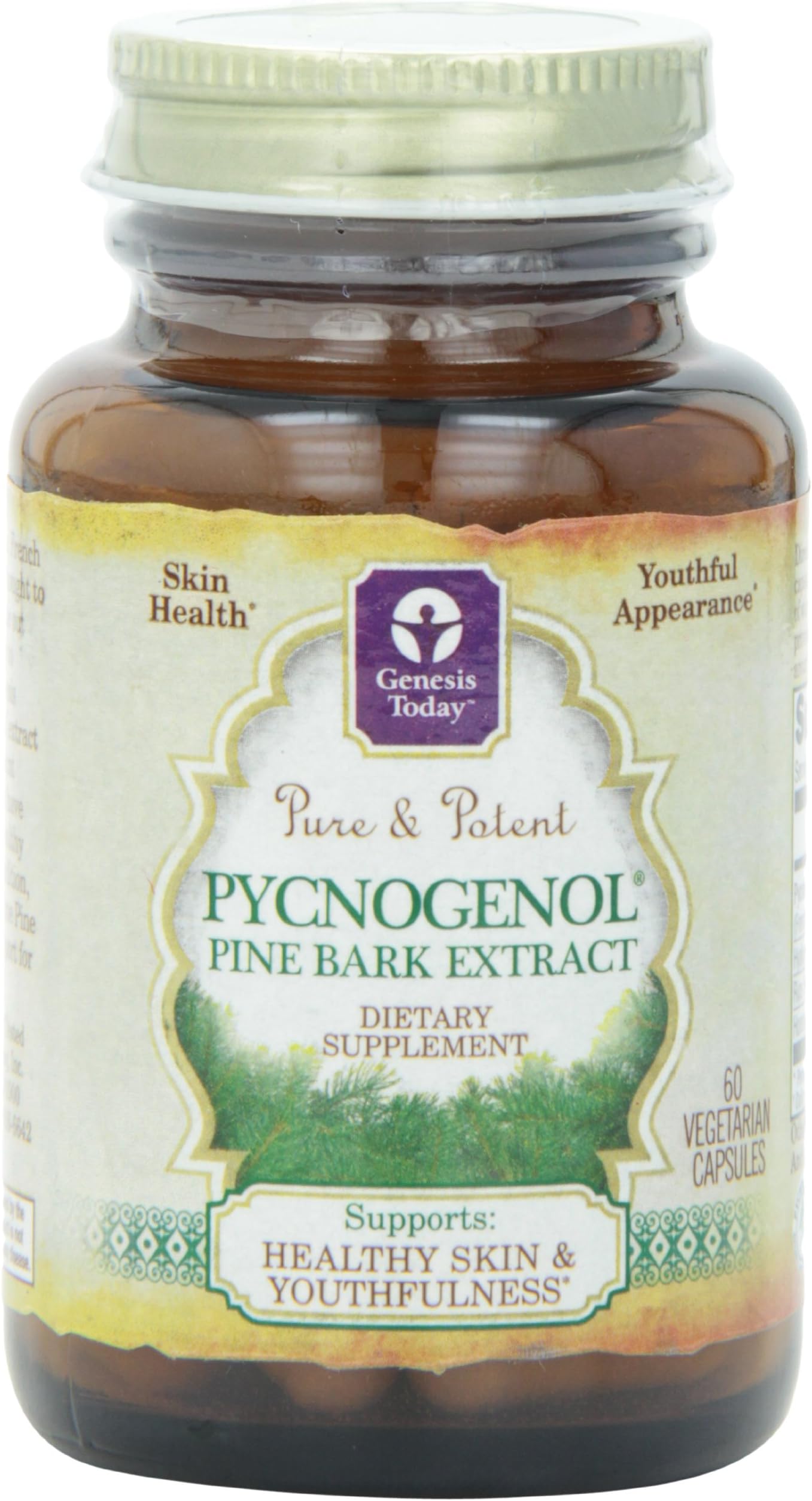 Genesis Nutrition Today Pycnogenol Supplement, 60 Count