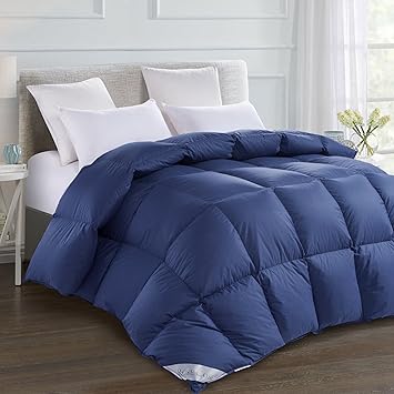 Rosecose Luxurious Goose Down Comforter Queen Size Duvet Insert