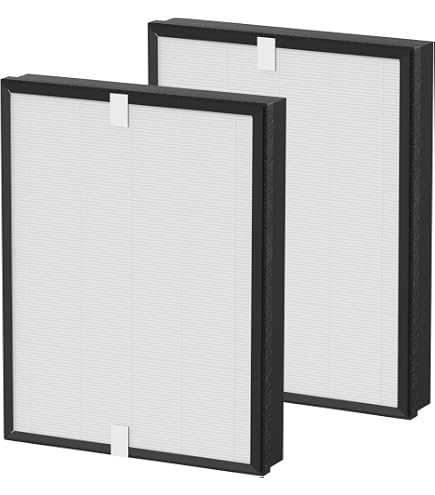 PUREBURG Paquete De 2 Filtros HEPA Para Purificador Balter LR-02 – Aire Más Limpio En Casa