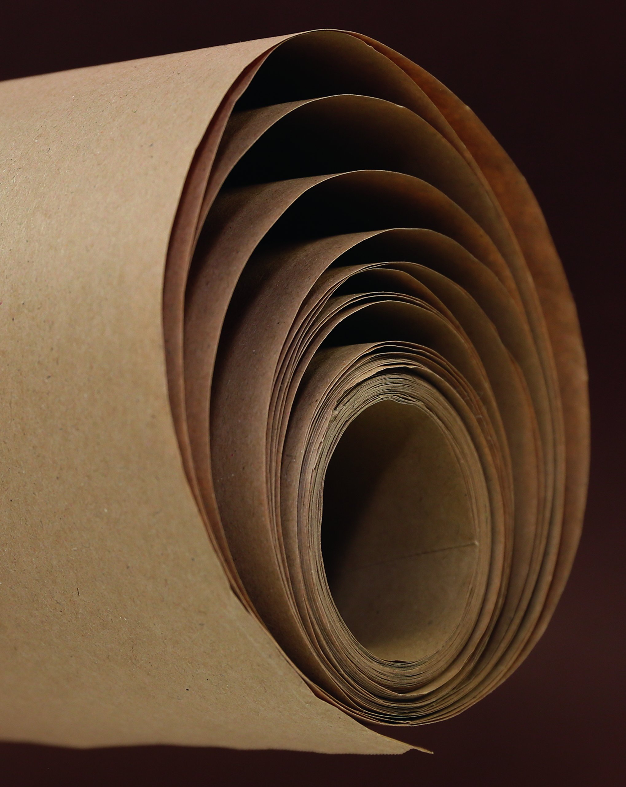 Clairefontaine - Ref 395071C - Kraft Plain Paper Roll (Single Roll) - 10 x 1m Size, 60gsm Paper, Acid Free, pH Neutral - Suitable for Painting & Drawing - Brown