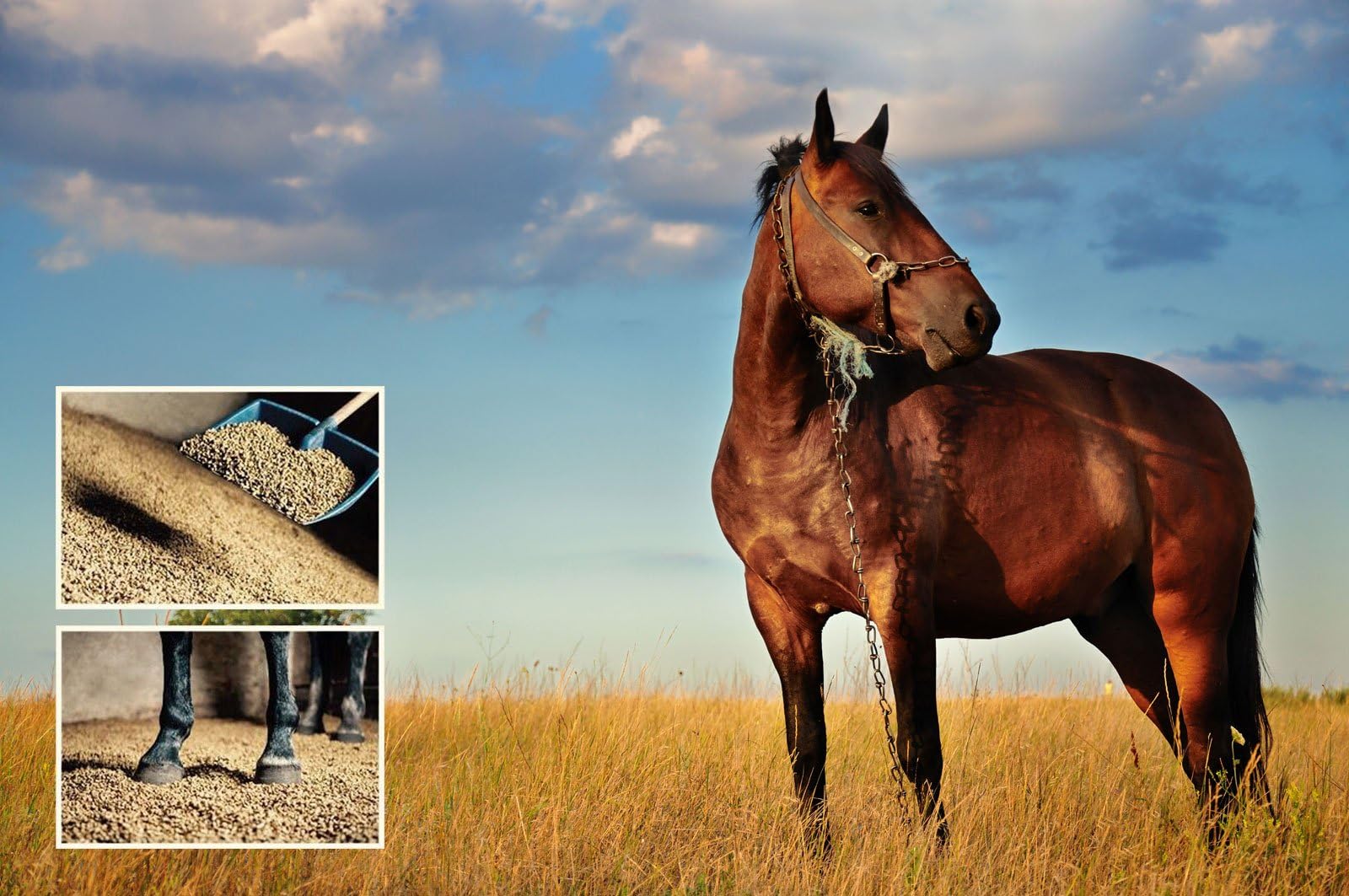 DWA PELLETS for HORSES bedding 15-30kg Bag 100% NATURAL Litter Mulch Hay STRAW (15 kg)