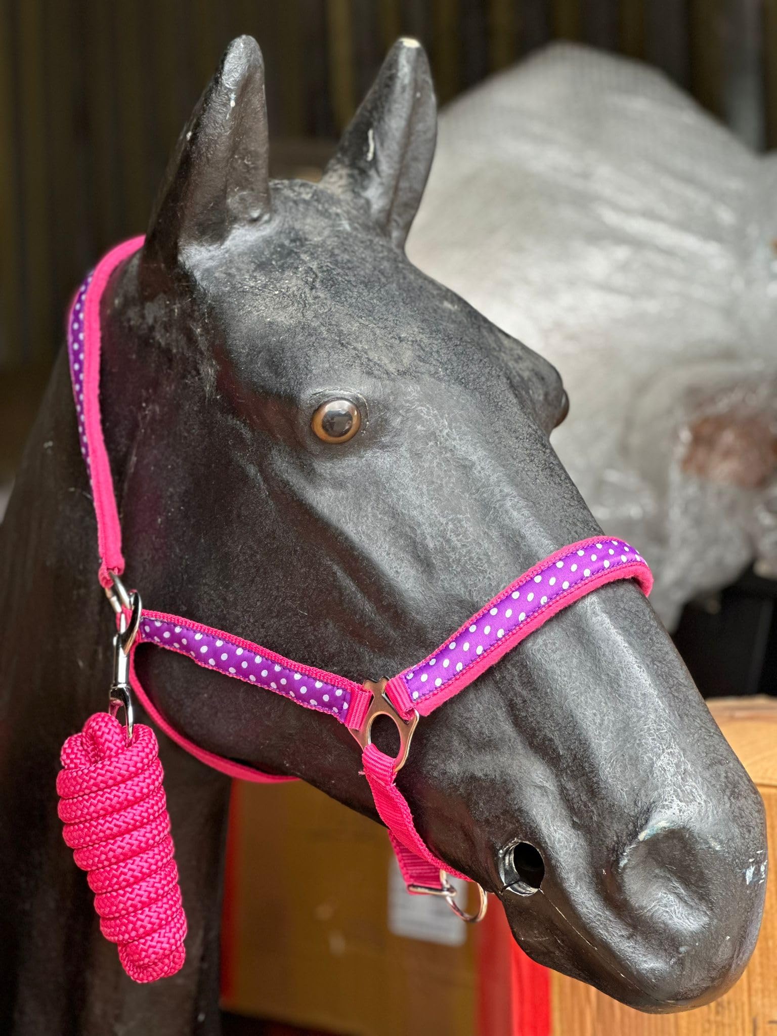 POLKA DOT HEADCOLLAR WITH LEAD ROPE FULL-MINI SHETLAND (Raspberry, Cob)