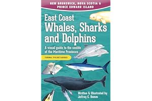 East Coast Whales, Sharks and Dolphins: A visual guide to the sealife of the Maritime Provinces