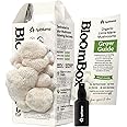 NuBlume Organic Lion's Mane Mushroom Grow Kit | Grow Your Own Fresh Gourmet Mushrooms at Home | Edible Indoor Mushroom Growin