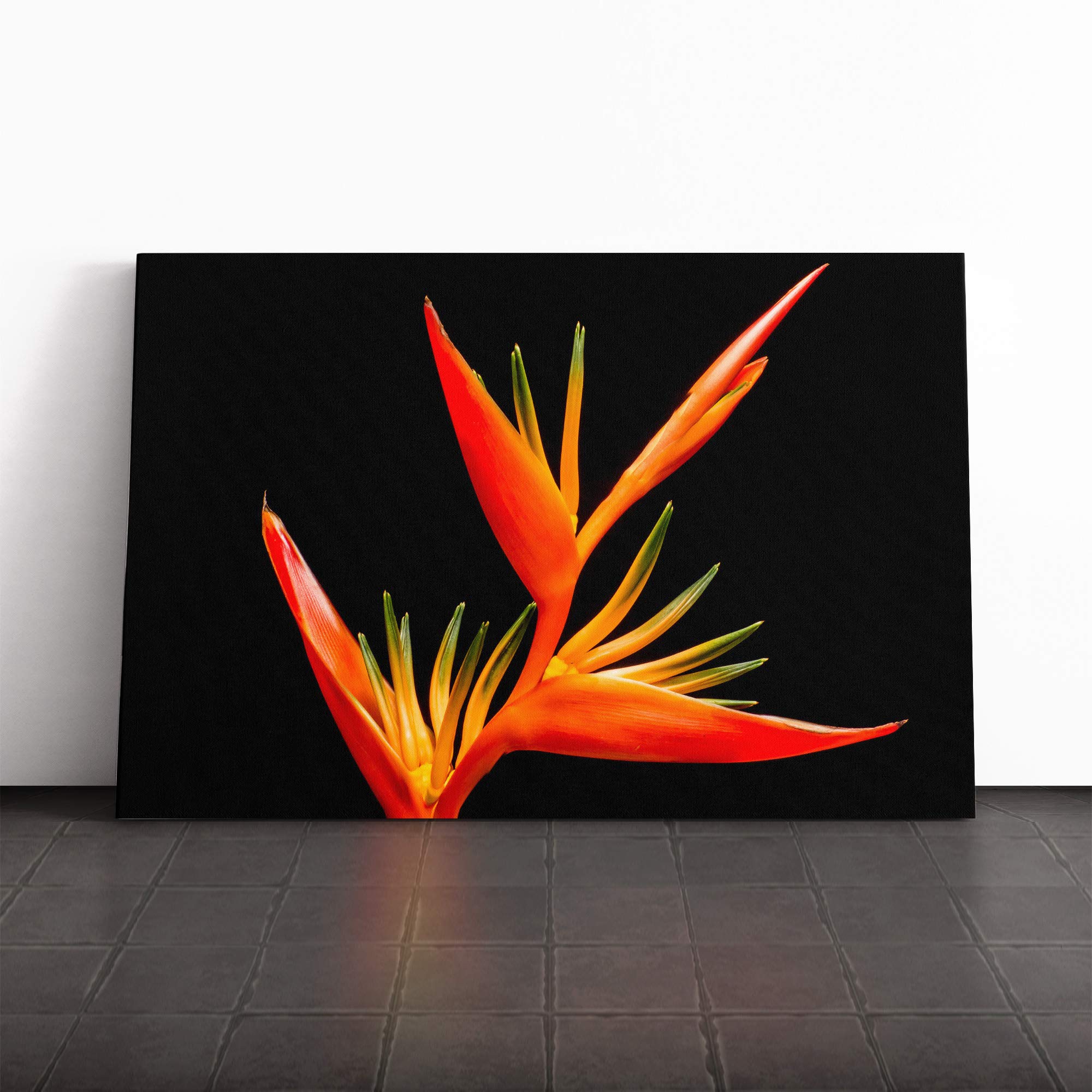 Flower Bird of Paradise Canvas Print | Gallery Wrapped 30mm Frame Wall Art | 20x14 inches | Ready to Hang | Modern Animals Picture | Living Room Bedroom Lounge Office