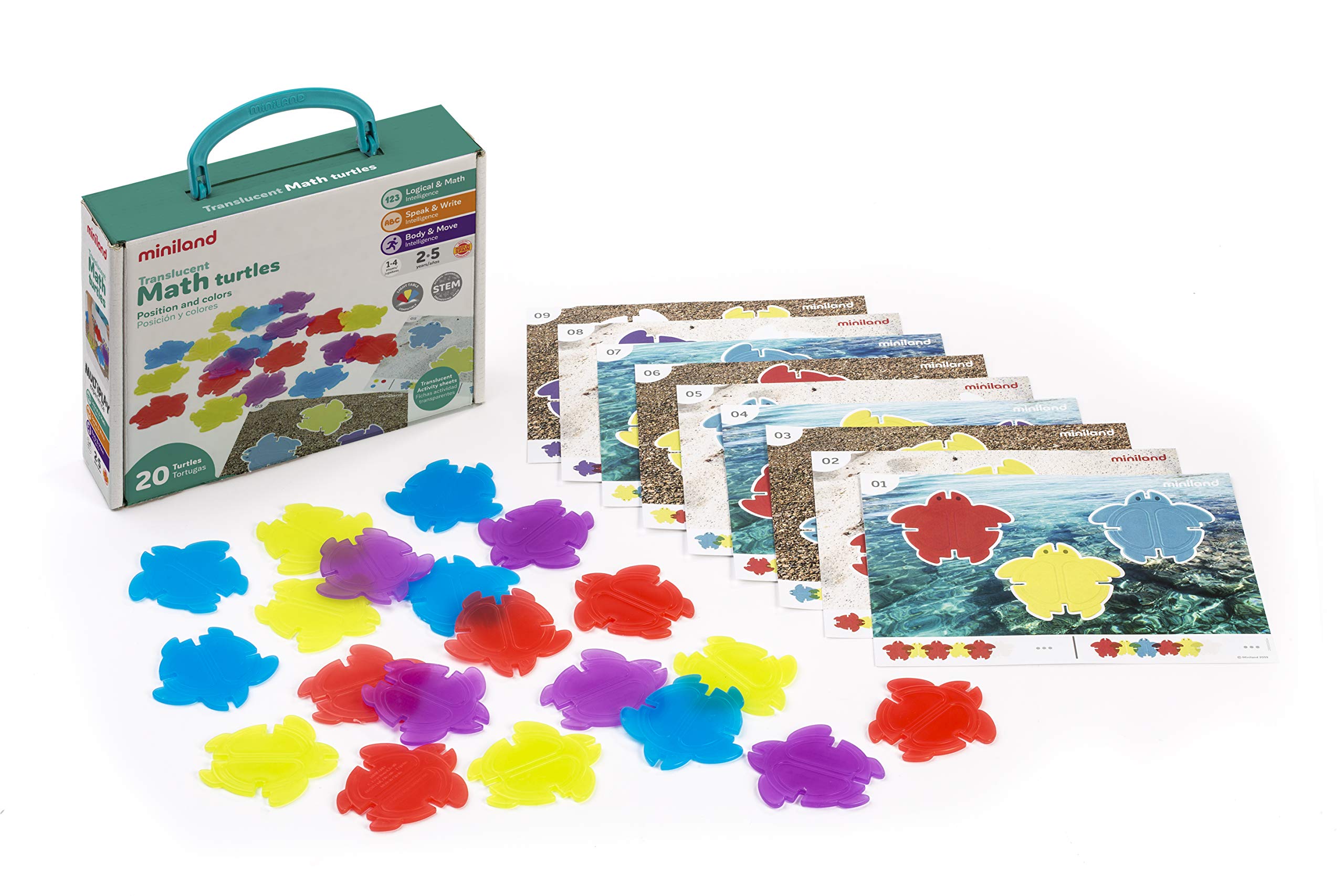 Miniland TRANSLUCENT MATH TURTLES