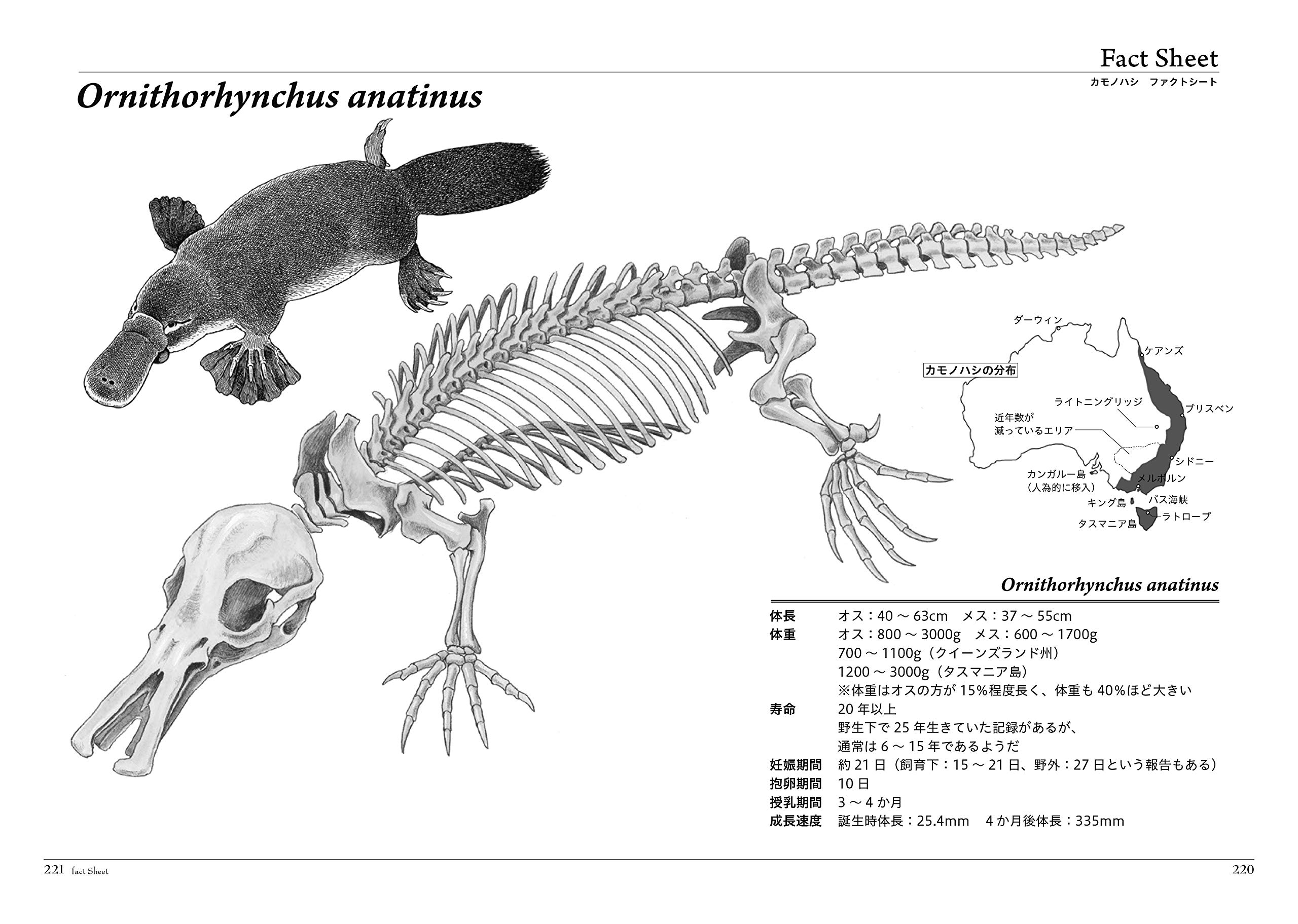 カモノハシの博物誌 ふしぎな哺乳類の進化と発見の物語 生物ミステリー Amazon Com Books