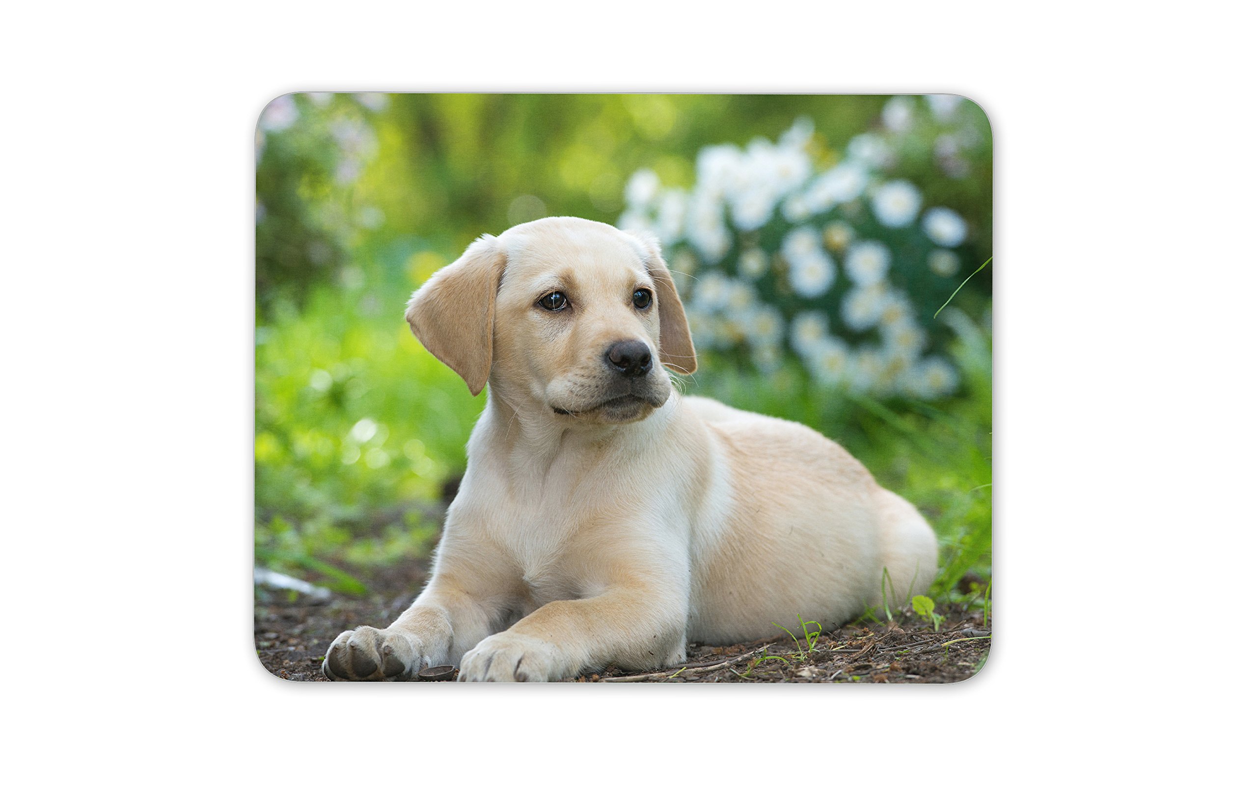 Destination Vinyl ltd Cute Labrador Puppy Mouse Mat Pad - Dog Dogs Golden Retriever PC Computer #8396