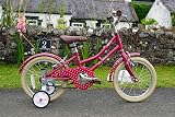 Weldtite Adie Multi-Fit Stabiliser Kids Bikes 12-20 inch Wheels Pair view 7