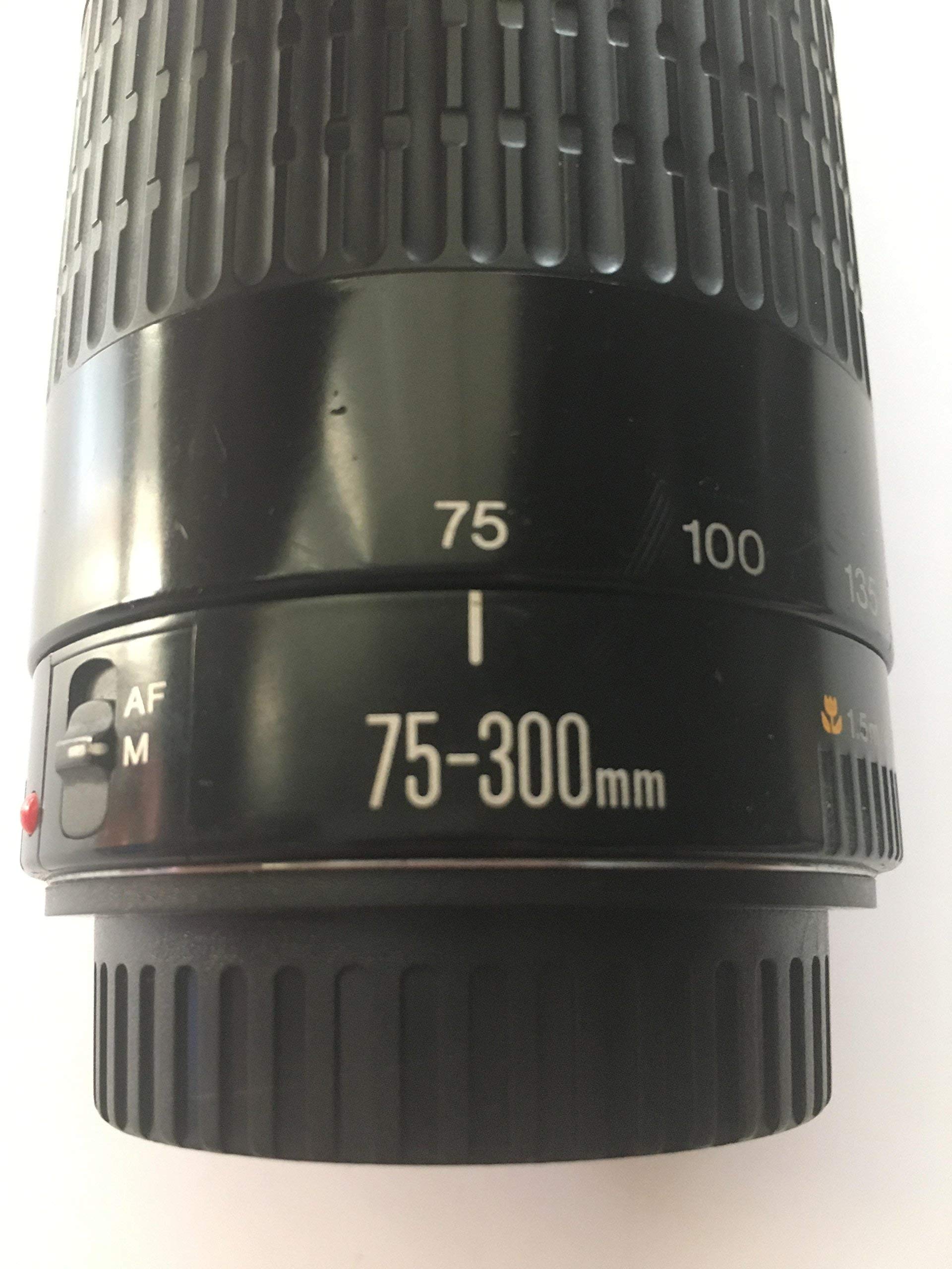 Canon Ef 75 300mm F 4 5 6 Iii Telephoto Zoom Lens For Canon Slr Cameras Renewed Buy Online In Jamaica At Jamaica Desertcart Com Productid
