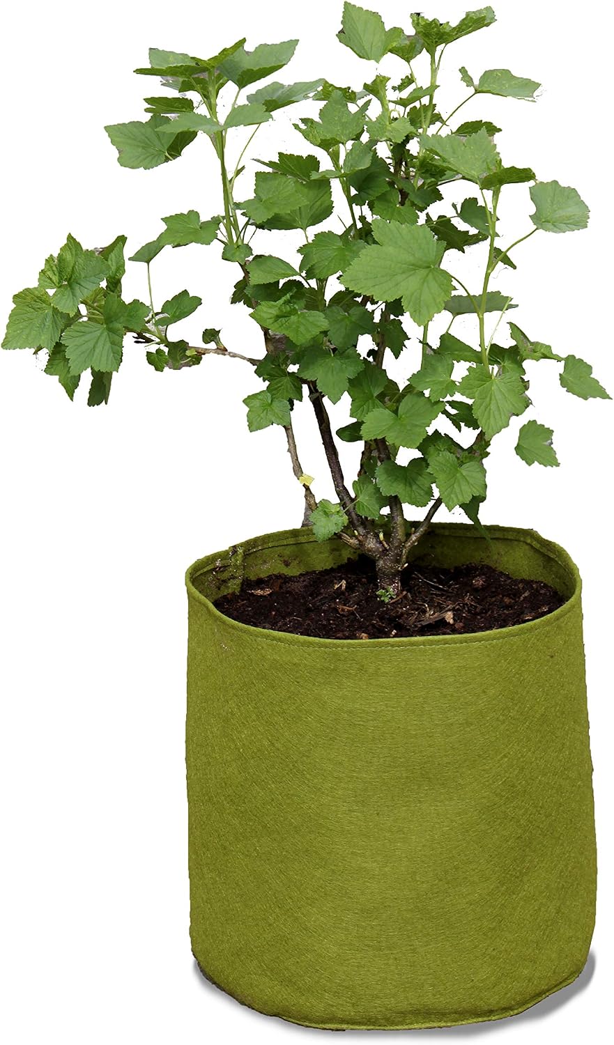 Haxnicks Large Vigoroot Plant Pots, Green, 20 L