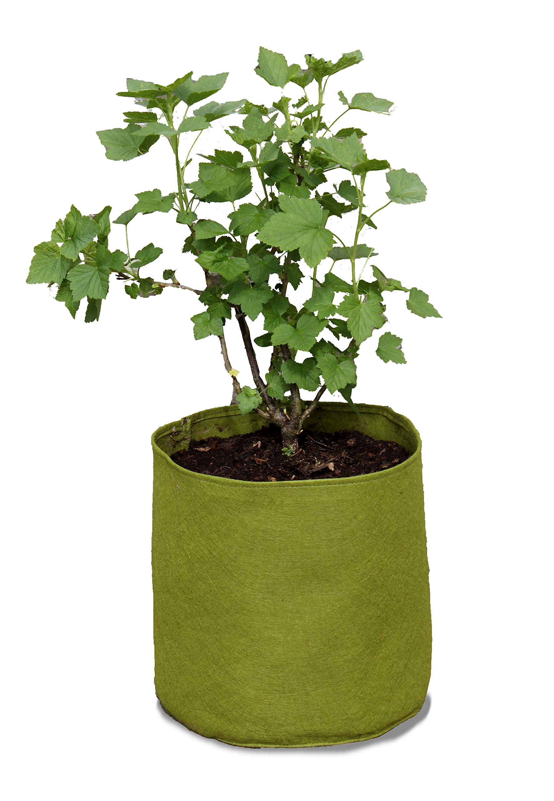 Haxnicks Large Vigoroot Plant Pots | Special Garden Fabric Needs Less Compost | Better Roots | Stronger Plants | Up To 30% Higher Yield | Capacity 20L Green, | VIG110101
