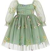 IBTOM CASTLE Infant Girls First Birthday Dress Flower Girl Dress Cake Smash Floral Embroidery Princess Dress