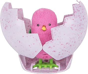 little pollito