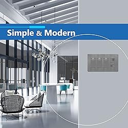 LIDER Brushed Finish Decorator Switch