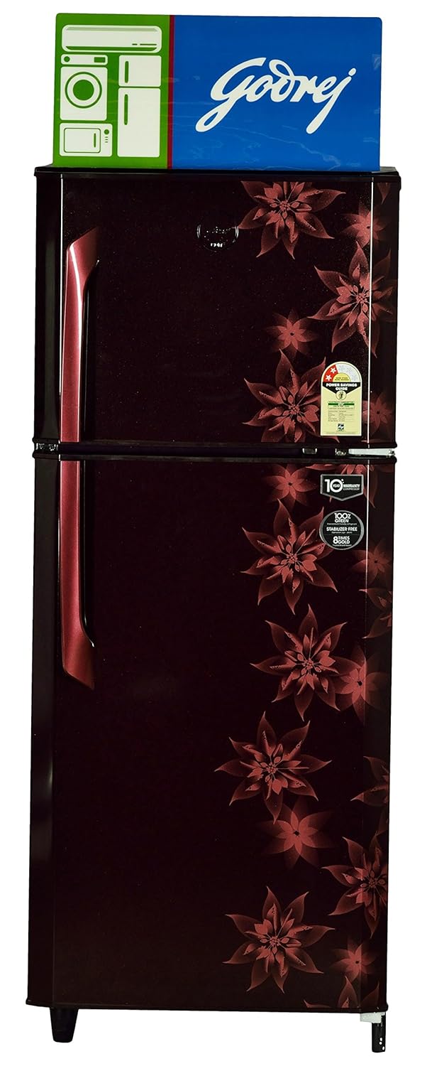 Godrej 231 L 2 Star Frost Free Double Door Refrigerator(RT Eon 231 C 2.