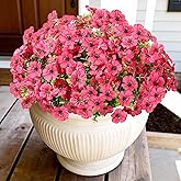 WYOK 14 Bundles Artificial Flowers UV Resistant for Patio Outdoors Fake Faux Silk Plants Realistic Plastic Flowers Indoors Porch Window Home Decoration (14, Fuchsia)