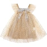 AGQT Baby Girls Christmas Tulle Tutu Dress Sleeveless Sequin Layered Dresses Size 6M-4T