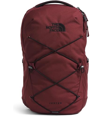 THE NORTH FACE Berkeley Daypack, Sumac/Alpine Plum, One Size