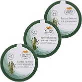 Citrus Magic Solid Air Fresheners, Bamboo Rainforest, 8 Ounce, Pack of 3 | Odor Absorbing, Passive Diffusion, Odor Elimination Up to 4 Weeks Each, Ideal for Home