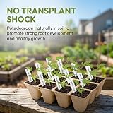 Jucoan Seed Starter Trays 40 Pack, 480 Cells Biodegradable Pots view 7
